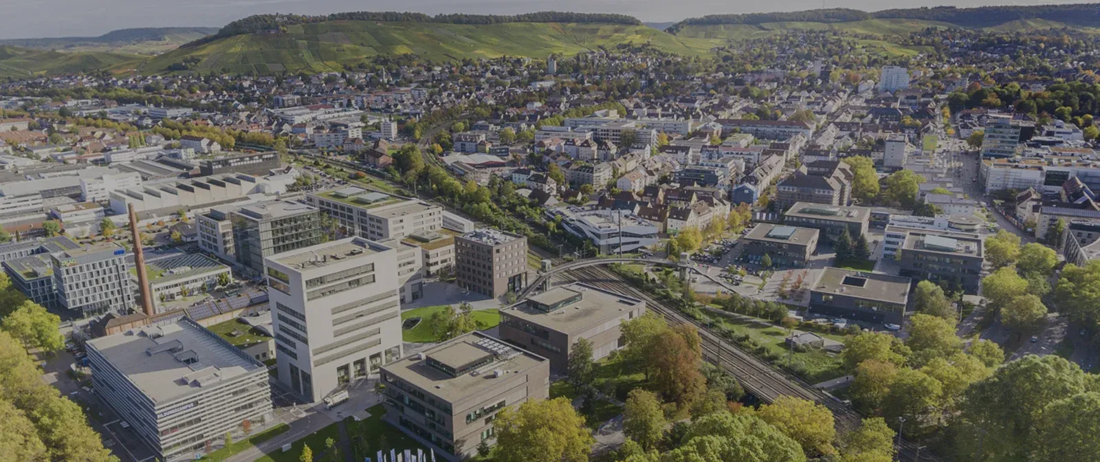 Blick über die herbstlichen Weinberge von Heilbronn